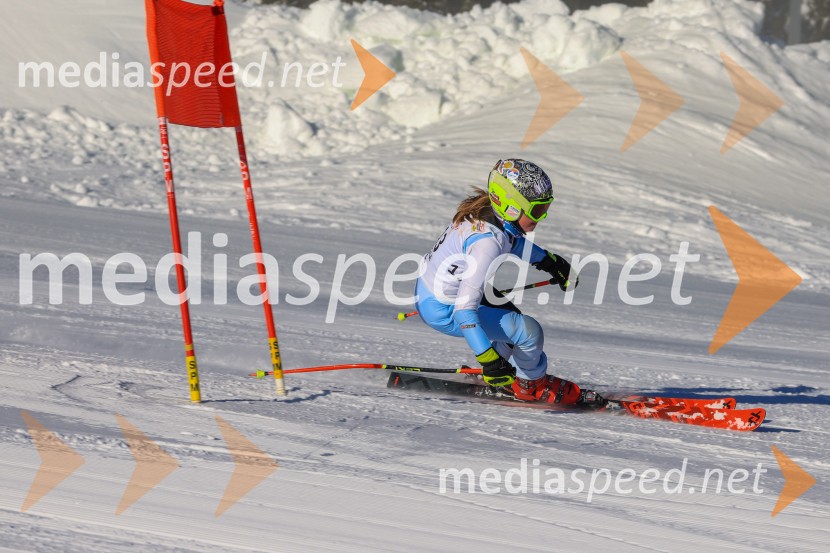 Prva tekma v smučanju Vzhodna regija U10-U12 Veleslalom 2026