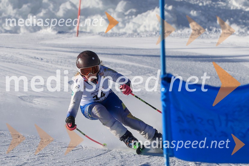 Prva tekma v smučanju Vzhodna regija U10-U12 Veleslalom 2026