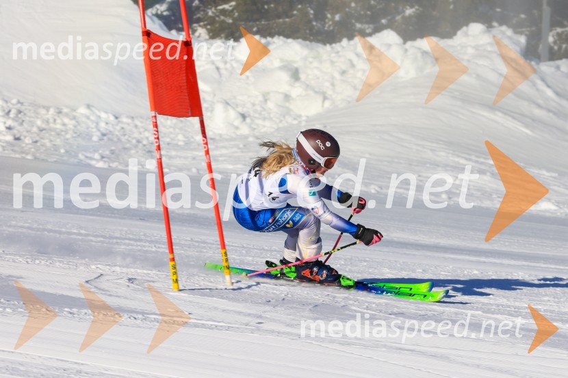 Prva tekma v smučanju Vzhodna regija U10-U12 Veleslalom 2026