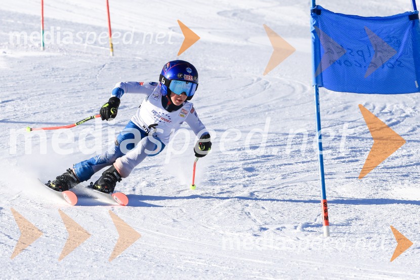 Prva tekma v smučanju Vzhodna regija U10-U12 Veleslalom 2026