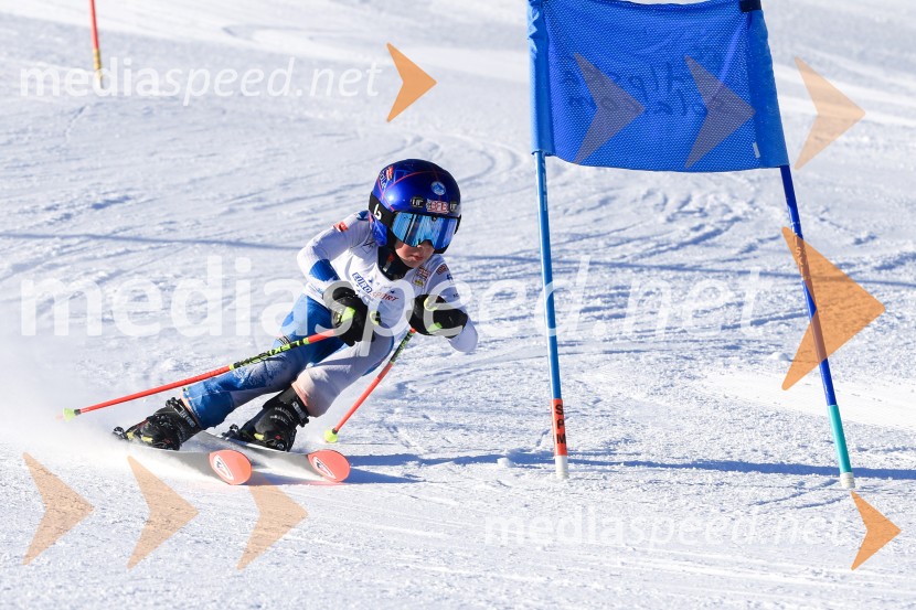 Prva tekma v smučanju Vzhodna regija U10-U12 Veleslalom 2026