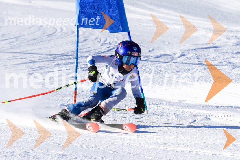 Prva tekma v smučanju Vzhodna regija U10-U12 Veleslalom 2026