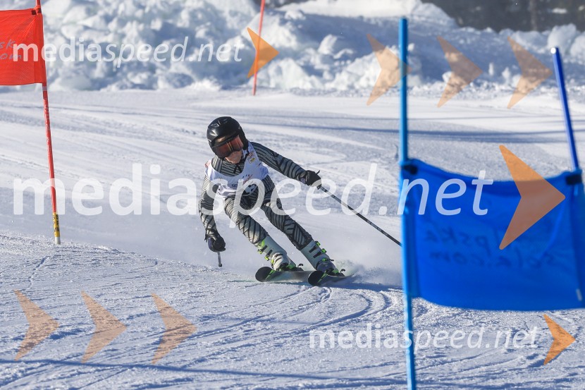 Prva tekma v smučanju Vzhodna regija U10-U12 Veleslalom 2026