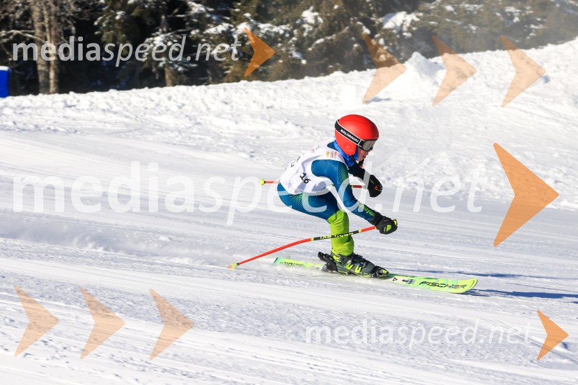Prva tekma v smučanju Vzhodna regija U10-U12 Veleslalom 2026