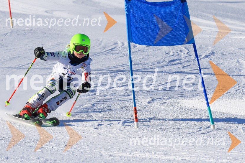 Prva tekma v smučanju Vzhodna regija U10-U12 Veleslalom 2026