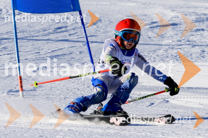Prva tekma v smučanju Vzhodna regija U10-U12 Veleslalom 2026