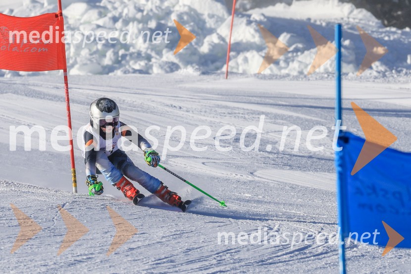 Prva tekma v smučanju Vzhodna regija U10-U12 Veleslalom 2026