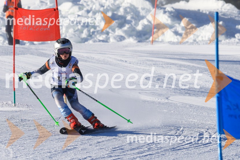 Prva tekma v smučanju Vzhodna regija U10-U12 Veleslalom 2026