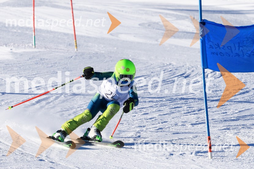 Prva tekma v smučanju Vzhodna regija U10-U12 Veleslalom 2026