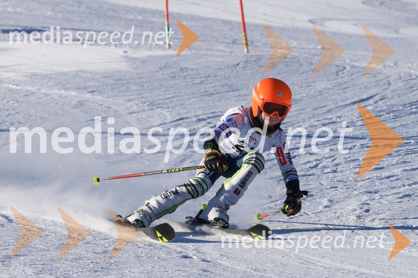 Prva tekma v smučanju Vzhodna regija U10-U12 Veleslalom 2026