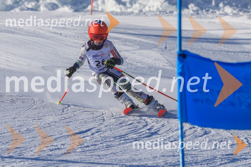 Prva tekma v smučanju Vzhodna regija U10-U12 Veleslalom 2026