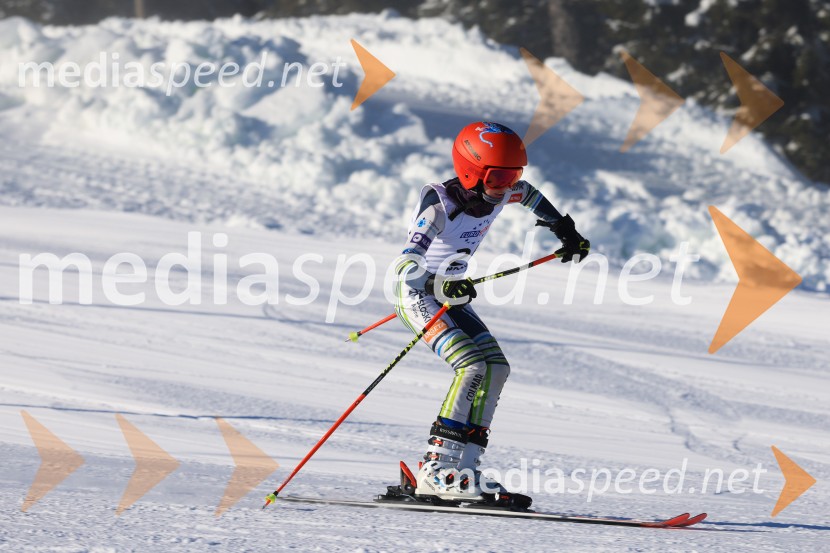 Prva tekma v smučanju Vzhodna regija U10-U12 Veleslalom 2026