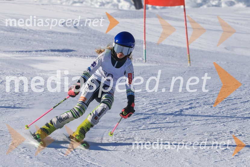 Prva tekma v smučanju Vzhodna regija U10-U12 Veleslalom 2026