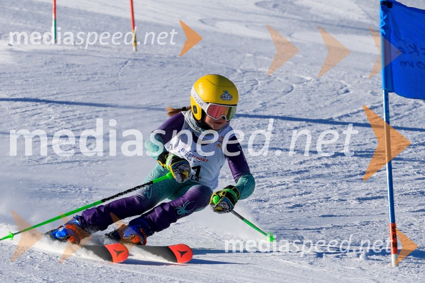 Prva tekma v smučanju Vzhodna regija U10-U12 Veleslalom 2026
