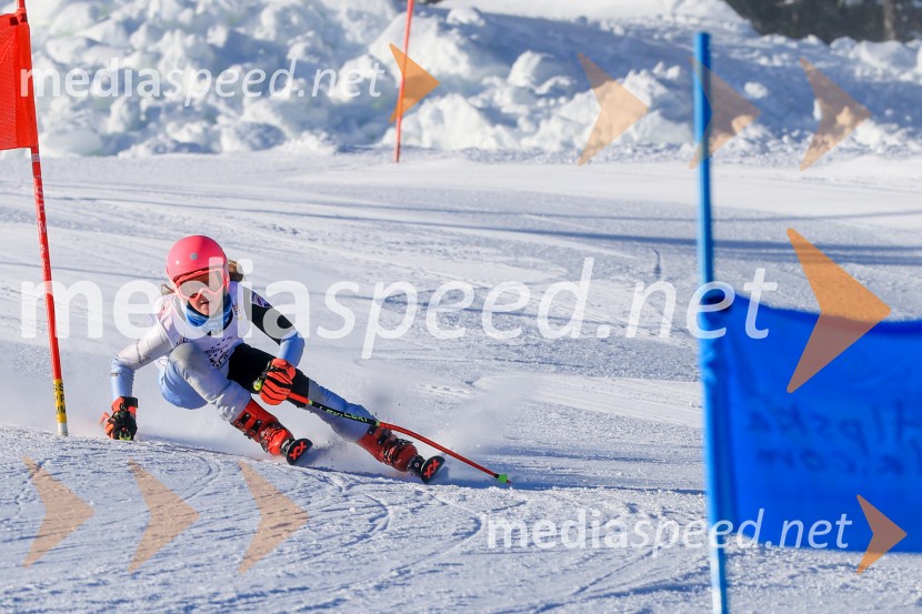 Prva tekma v smučanju Vzhodna regija U10-U12 Veleslalom 2026