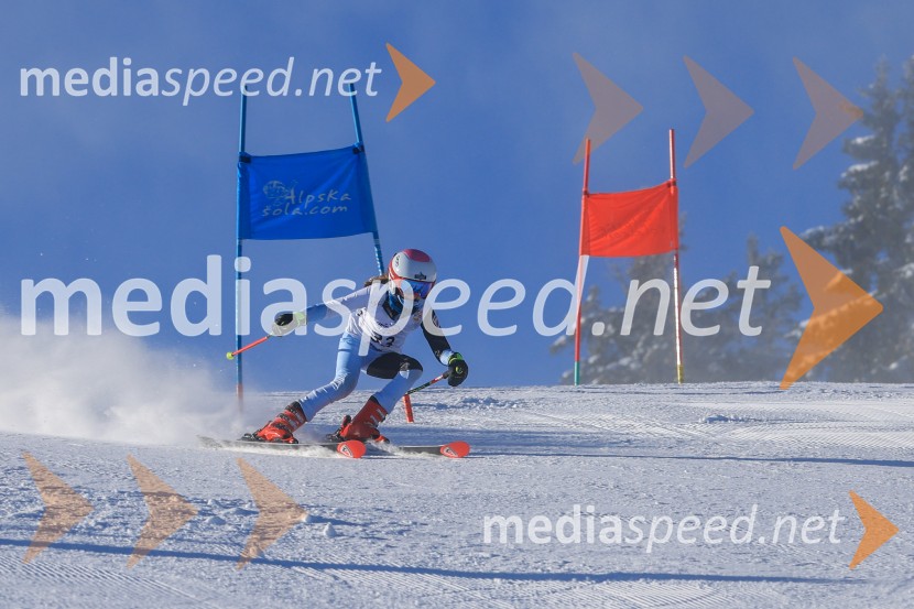 Prva tekma v smučanju Vzhodna regija U10-U12 Veleslalom 2026
