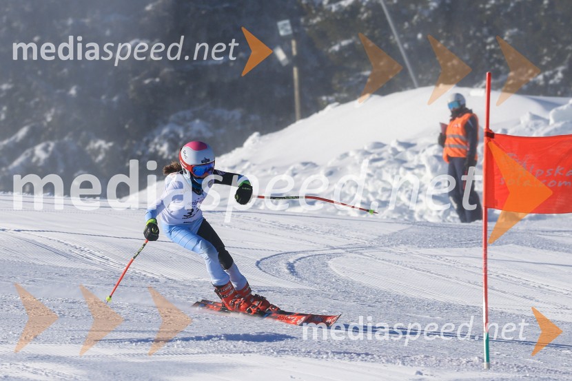 Prva tekma v smučanju Vzhodna regija U10-U12 Veleslalom 2026