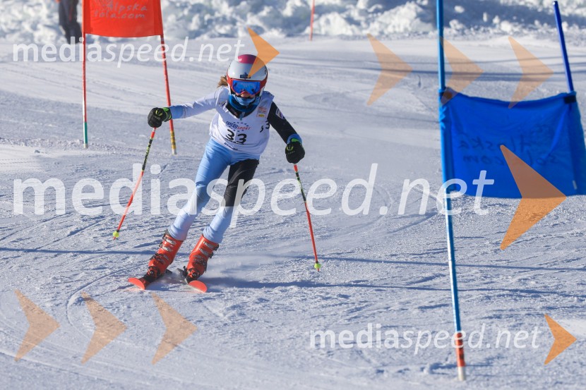 Prva tekma v smučanju Vzhodna regija U10-U12 Veleslalom 2026