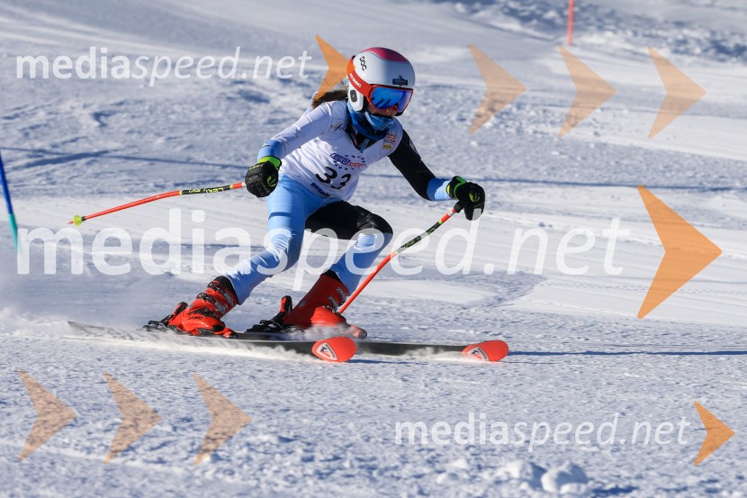 Prva tekma v smučanju Vzhodna regija U10-U12 Veleslalom 2026