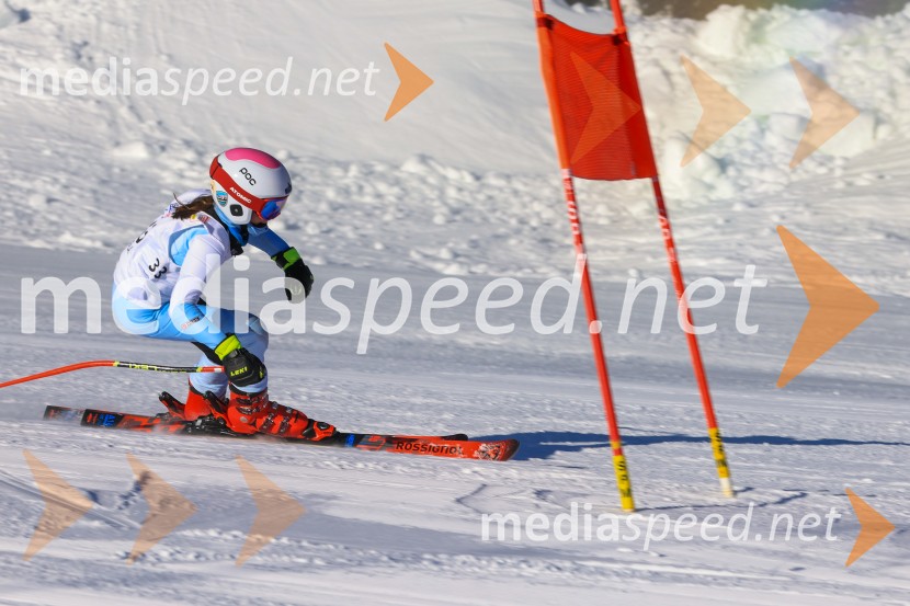 Prva tekma v smučanju Vzhodna regija U10-U12 Veleslalom 2026