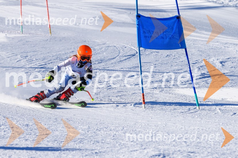 Prva tekma v smučanju Vzhodna regija U10-U12 Veleslalom 2026