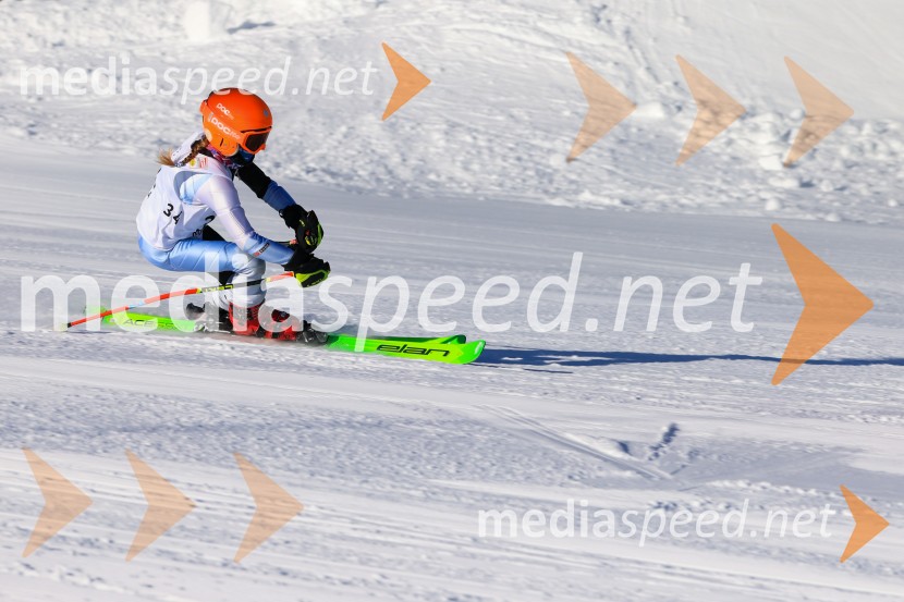 Prva tekma v smučanju Vzhodna regija U10-U12 Veleslalom 2026