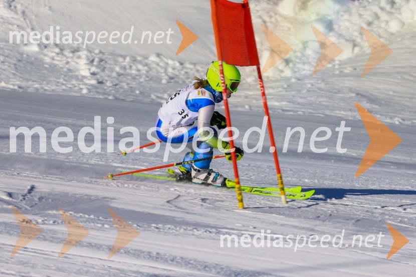 Prva tekma v smučanju Vzhodna regija U10-U12 Veleslalom 2026