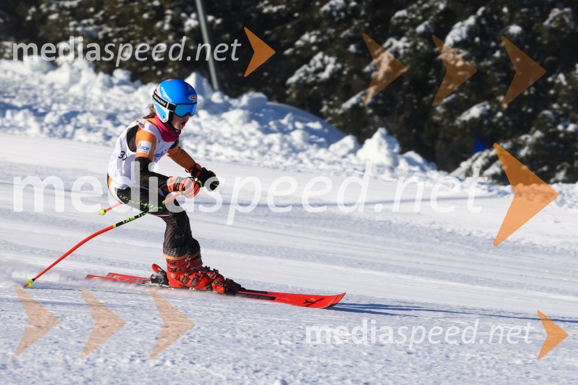 Prva tekma v smučanju Vzhodna regija U10-U12 Veleslalom 2026