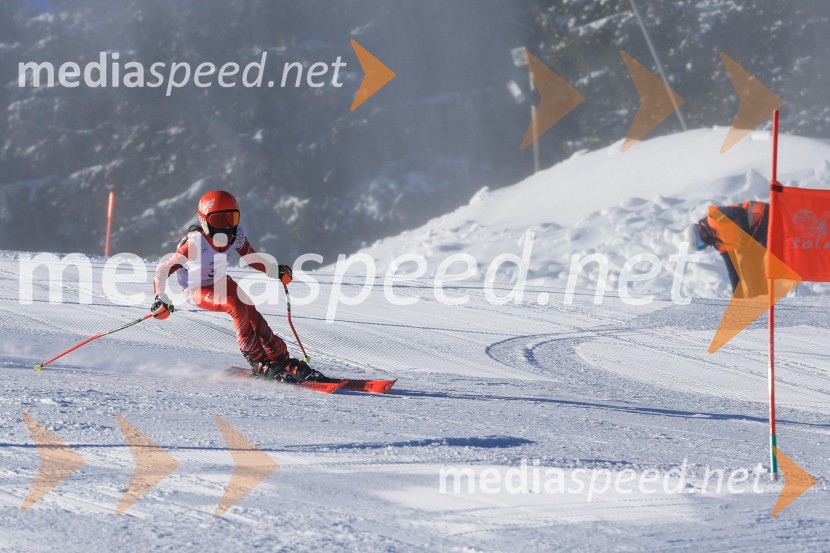 Prva tekma v smučanju Vzhodna regija U10-U12 Veleslalom 2026