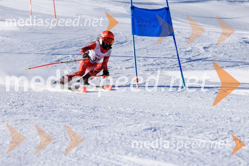 Prva tekma v smučanju Vzhodna regija U10-U12 Veleslalom 2026