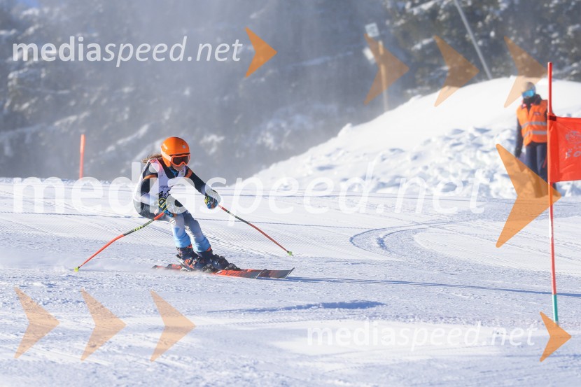 Prva tekma v smučanju Vzhodna regija U10-U12 Veleslalom 2026