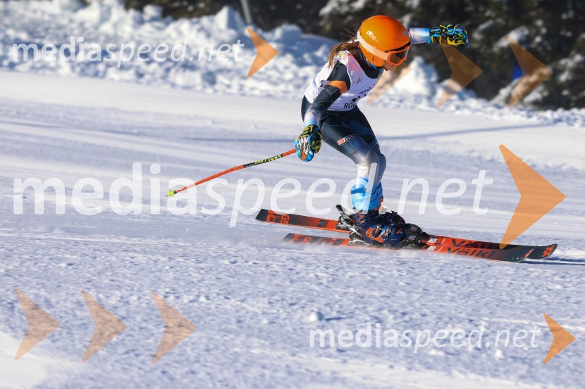 Prva tekma v smučanju Vzhodna regija U10-U12 Veleslalom 2026