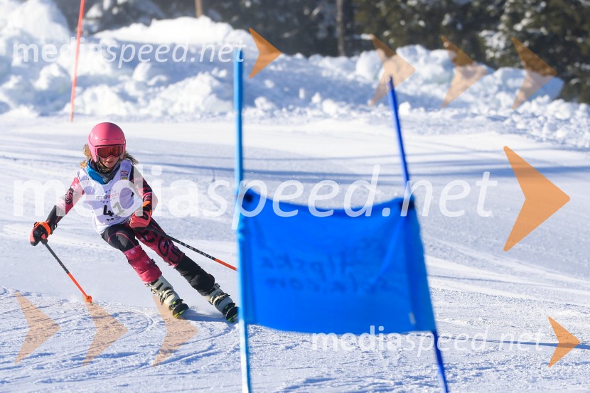 Prva tekma v smučanju Vzhodna regija U10-U12 Veleslalom 2026