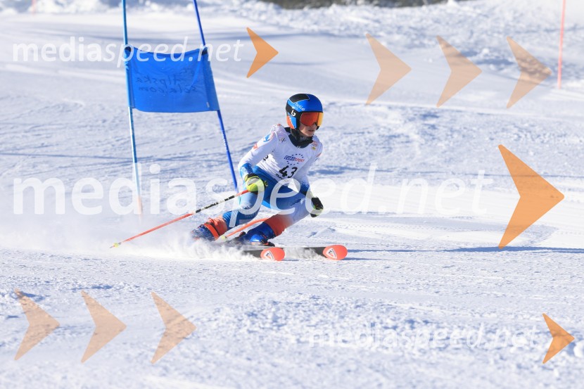 Prva tekma v smučanju Vzhodna regija U10-U12 Veleslalom 2026