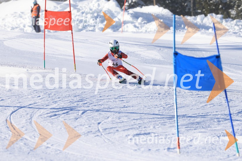 Prva tekma v smučanju Vzhodna regija U10-U12 Veleslalom 2026