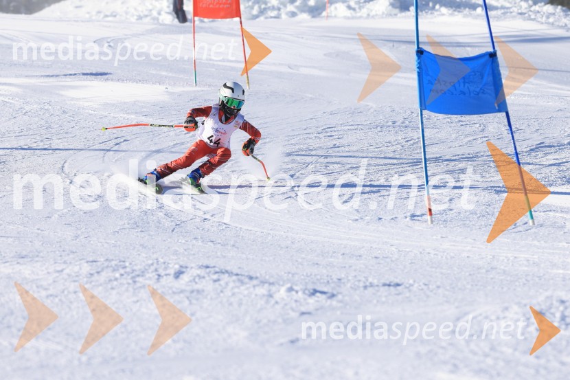 Prva tekma v smučanju Vzhodna regija U10-U12 Veleslalom 2026