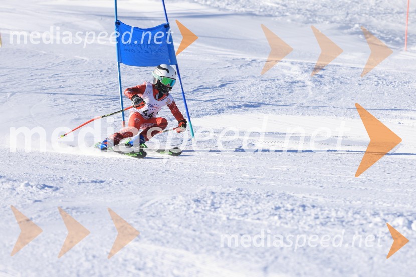 Prva tekma v smučanju Vzhodna regija U10-U12 Veleslalom 2026