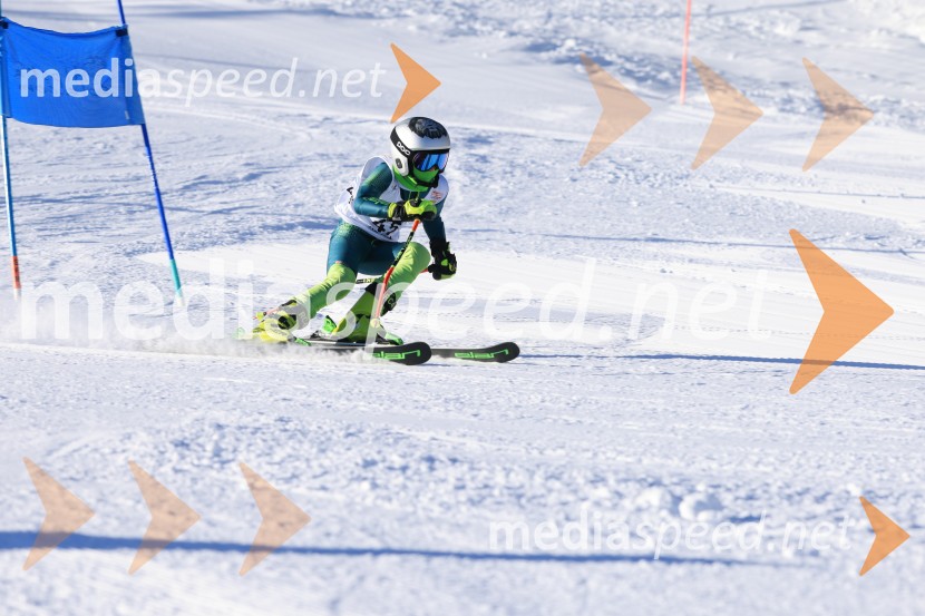 Prva tekma v smučanju Vzhodna regija U10-U12 Veleslalom 2026