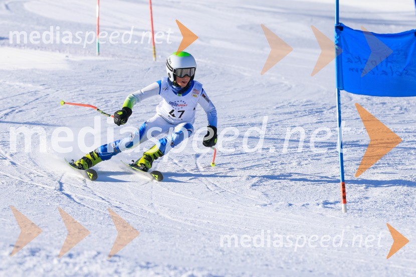 Prva tekma v smučanju Vzhodna regija U10-U12 Veleslalom 2026