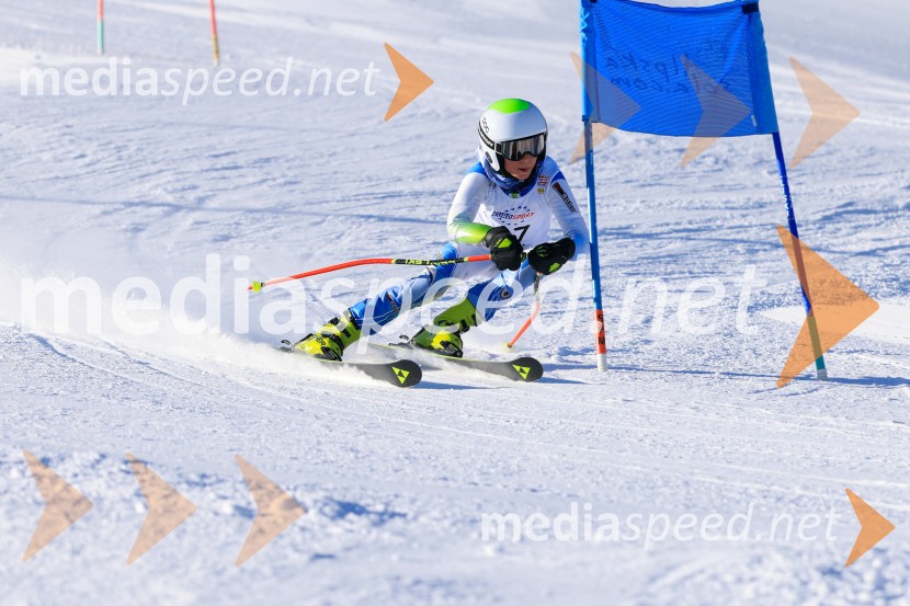Prva tekma v smučanju Vzhodna regija U10-U12 Veleslalom 2026