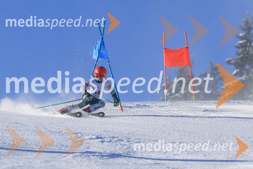 Prva tekma v smučanju Vzhodna regija U10-U12 Veleslalom 2026