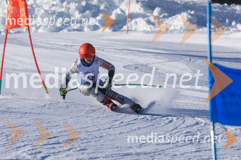 Prva tekma v smučanju Vzhodna regija U10-U12 Veleslalom 2026