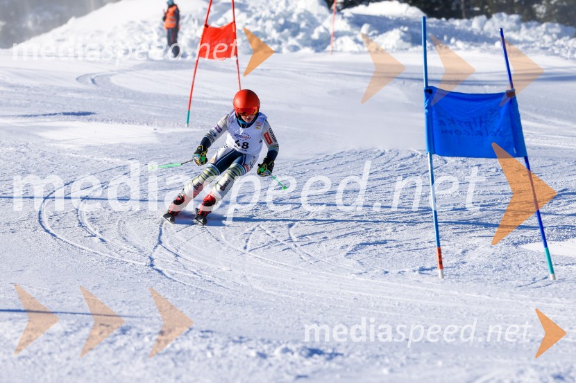 Prva tekma v smučanju Vzhodna regija U10-U12 Veleslalom 2026
