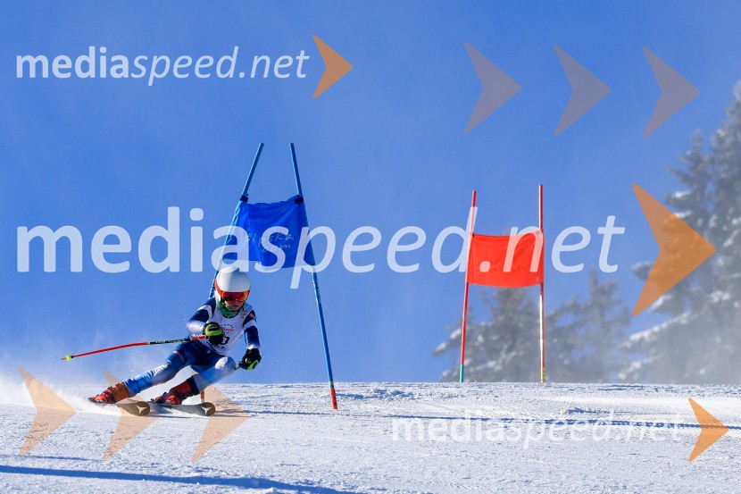 Prva tekma v smučanju Vzhodna regija U10-U12 Veleslalom 2026