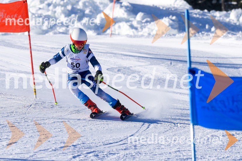 Prva tekma v smučanju Vzhodna regija U10-U12 Veleslalom 2026