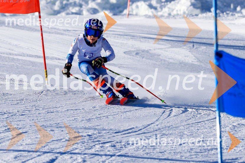 Prva tekma v smučanju Vzhodna regija U10-U12 Veleslalom 2026