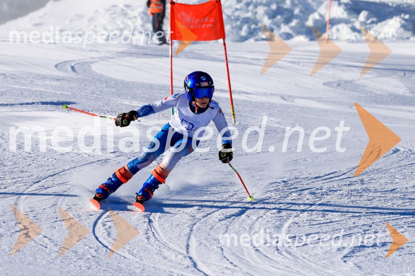 Prva tekma v smučanju Vzhodna regija U10-U12 Veleslalom 2026