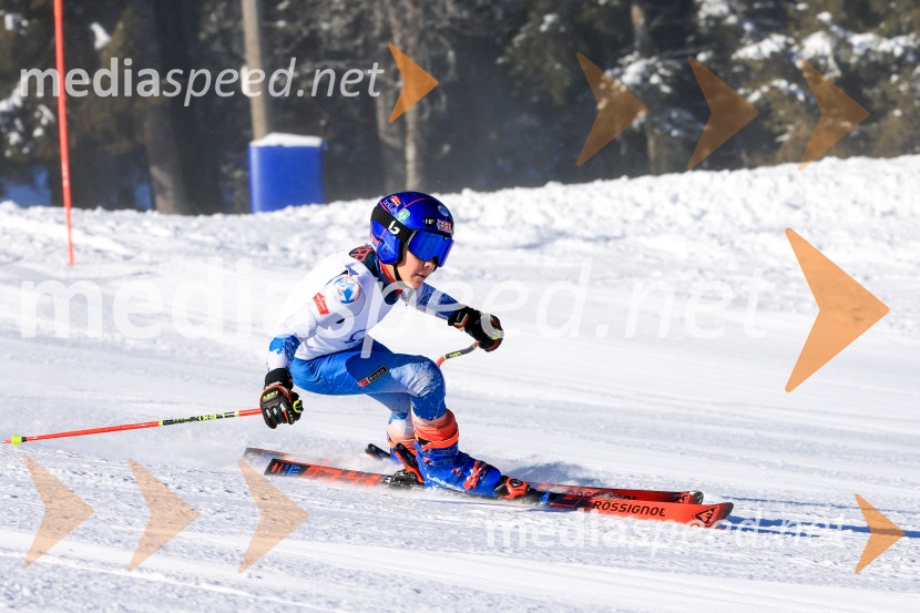 Prva tekma v smučanju Vzhodna regija U10-U12 Veleslalom 2026