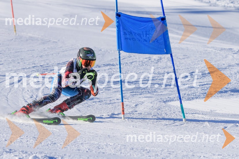 Prva tekma v smučanju Vzhodna regija U10-U12 Veleslalom 2026