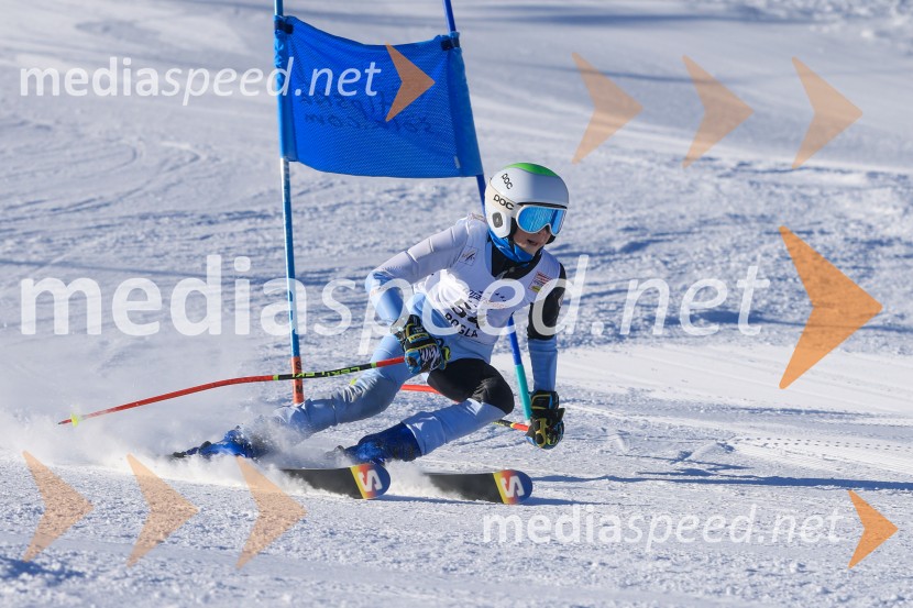 Prva tekma v smučanju Vzhodna regija U10-U12 Veleslalom 2026